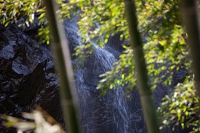 《足球经理2023》抢先体验Beta版现已上线 11月8日正式发售